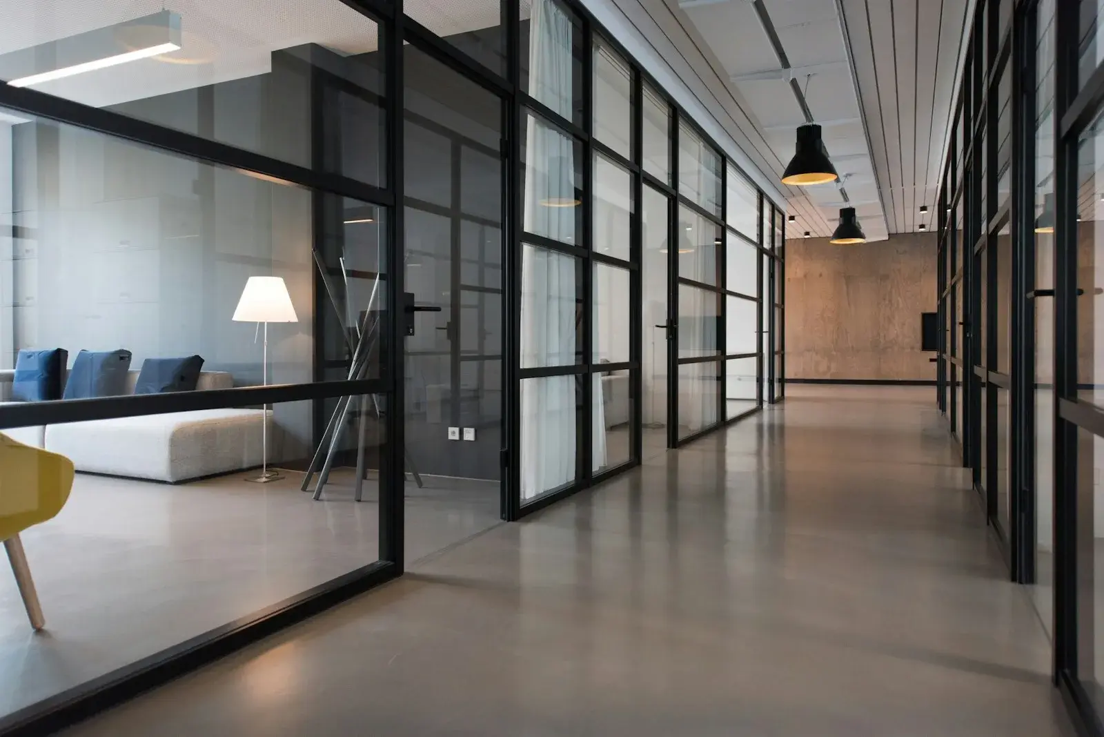 Commercial office fit-out with natural light and timber detailing