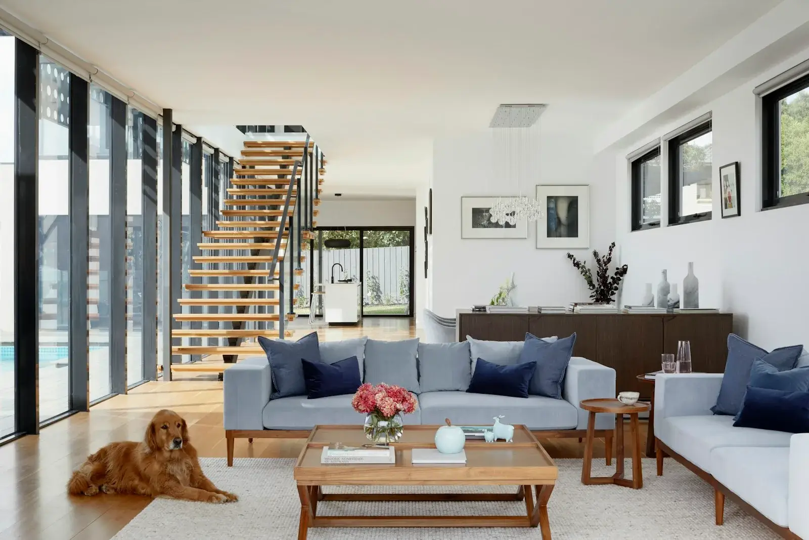 Retail-grade interior with rich timber display shelving and a lit accent wall